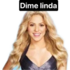 Shakira 27