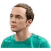 The Big Bang Theory 28