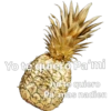 PIÑAS uWu 20