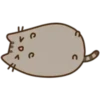 Pusheen Expressions 25