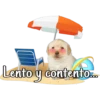 Lento y contento...