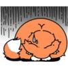 Wonderful Orange Cat 30