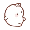 Molang 3 11