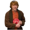 Harry Potter 1 21