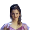 Harry Potter 1 22