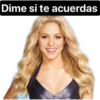 Shakira 30