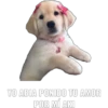 YO ABIA PONIDO TU AMOR POR MI AKI