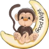 Monkey & frogs 6