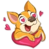 Chihuahua Chica 6