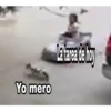 La atropella gatos 5