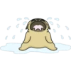 mochi 6