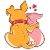 Chihuahua Chica 9
