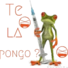 Monkey & frogs 11