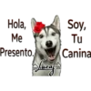 Perros Perrúnos 7