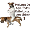 Perros Perrúnos 8