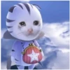Sad Cats 8