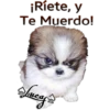 Perros Perrúnos 9