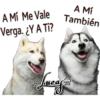 Perros Perrúnos 10