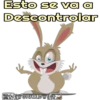 Rabbits 6