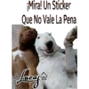 Perros Perrúnos 11