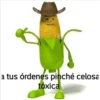 dreomst
a tus órdenes pinché celosa
tóxica