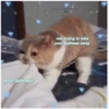 me, trying to take
your sadness away
Ivingvibes
your sadness