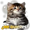 VenoBelties
ME Quieres?