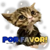 POR FAVOR!
KenoBelies