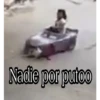 La atropella gatos 8