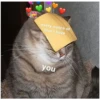 every ounce of
love i have
you