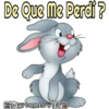 Rabbits 8