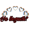Ya llegaste!