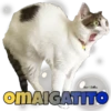 Keno Belies
OMAIGATITO