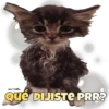 VeroBeles
Qué DIJISTE PRR?