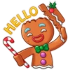 Biscoito de Gengibre 13
