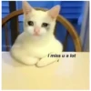 rteyes or
i miss u a lot