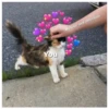 My love and affection
You