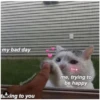 my bad day
me, trying to
be happy
@monkyuwu
taking to you