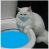 Sad Cats 13