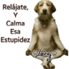 Perros Perrúnos 14