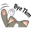Вye Tkh