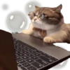 Kre T