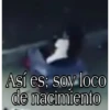 La atropella gatos 12