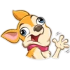 Chihuahua Chica 10