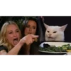 Historia del Gato 2 (Meme) 5