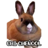 CHI CHENOOL