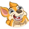 Chihuahua Chica 12