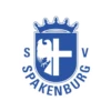 Tweede Divisie (Netherlands) 9