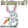 Rabbits 14