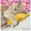 me, holding you
and never
wanting to let go
you, the love
of my life
pomer